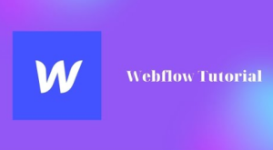Tutorial rápido de Webflow